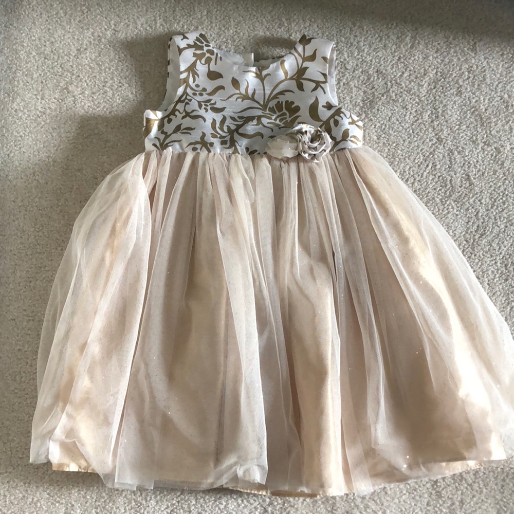Special Occasion Toddler Dress